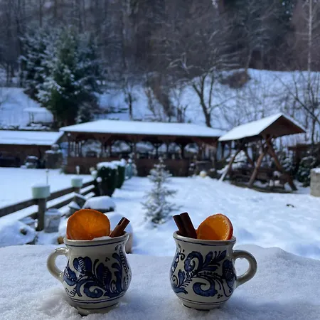 Pensiunea Domnescu Penzion 3*