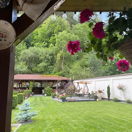 Pensiunea Domnescu Penzion 3*