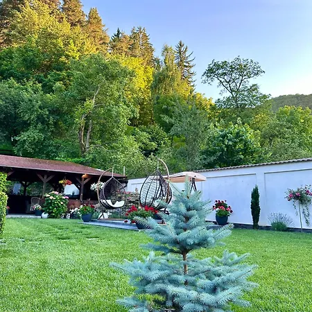 Penzion Pensiunea Domnescu 3*