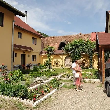 Penzion Pensiunea Domnescu Sălişte