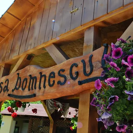 Pensiunea Domnescu Sălişte